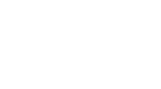 Logo The Talent Vibe